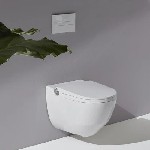 Why Choose Wall Hung Toilets?