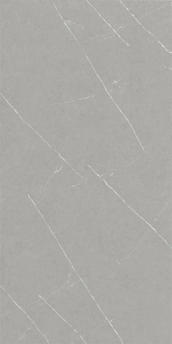 Pietra Grey 60x120 - Matt - Premium Tiles from Kimo Group - Just GHS335! Shop now at Kimo in Ghana
